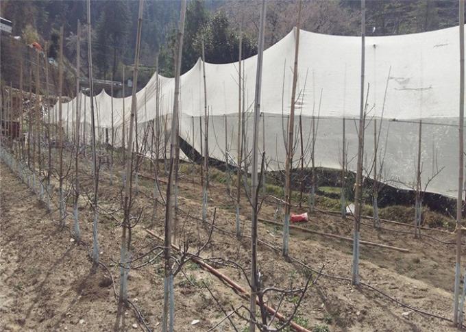 PE branco rede tecida da proteção do jardim com proteção UV 40g/m2 45g/m2