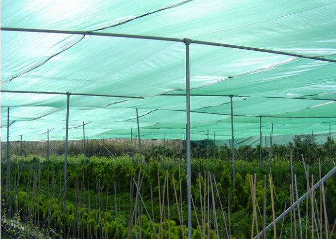 Rede 100% azul da máscara de Sun do HDPE para explorações agrícolas agrícolas/estufa/horticultura