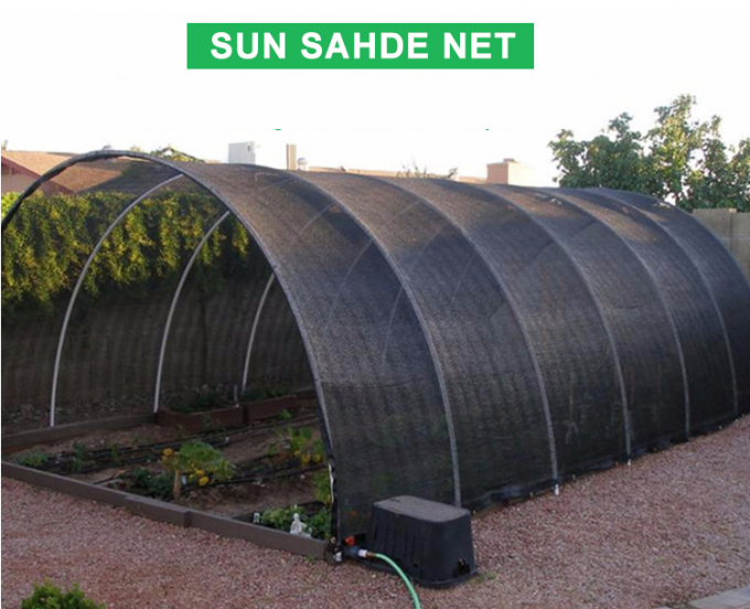Escuro - o fruto e a sementeira verdes Sun protegem a taxa de alta elasticidade líquida 70% da proteção da força
