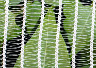 A estática fez malha a rede do jardim vegetal, 30gsm - rede da proteção da saraiva 100gsm