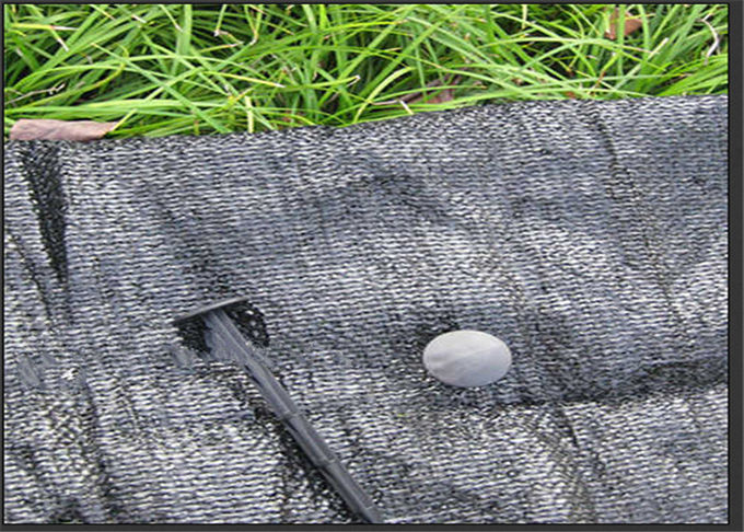 A membrana preta plástica agrícola para jardins protege plantas na superfície da terra disponível