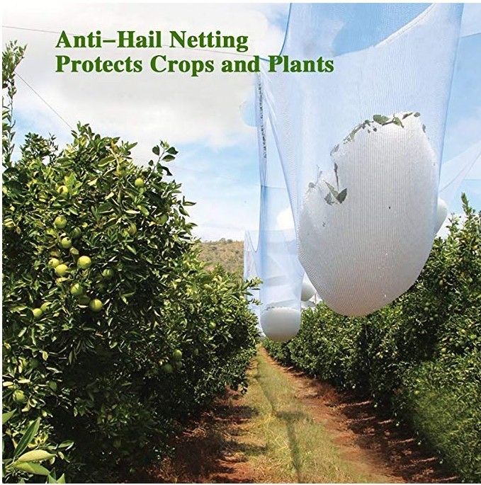 Rede branca da saraiva do HDPE agrícola anti, rede estabilizada UV da árvore de fruto